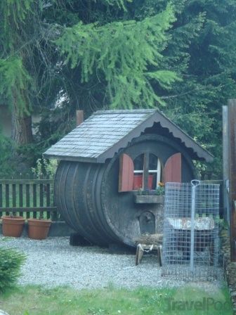 Cool Dog Houses