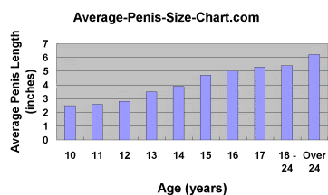 Average Penis Size For Teenager 85