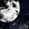 moon Pictures, Images and Photos