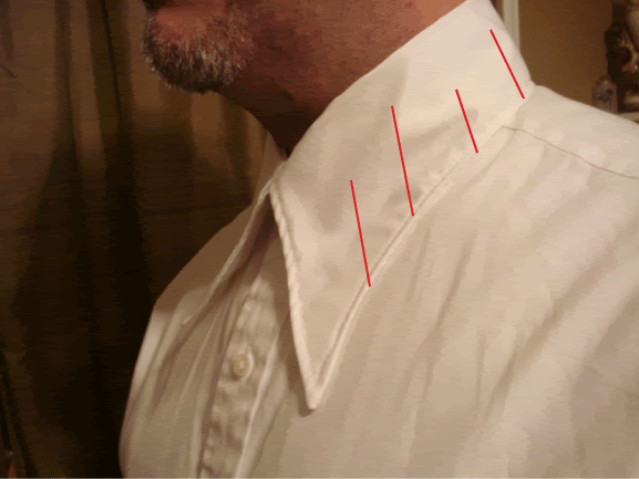 SS-Collar.gif