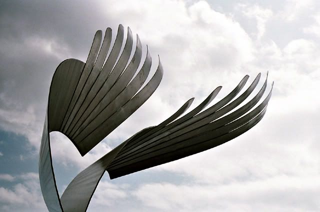 72520003-web.jpg