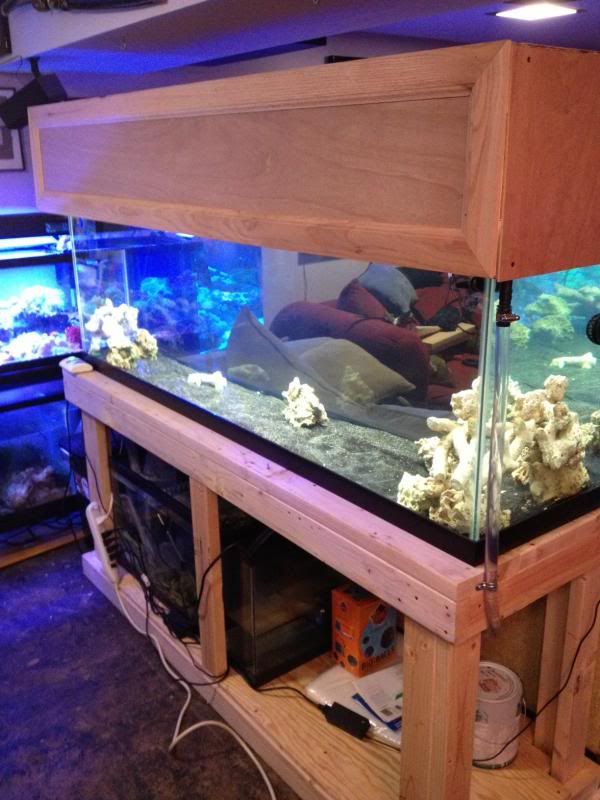 125centertank2.jpg