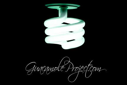 Guacamole Project :: Comunicación Visual [con sazón]