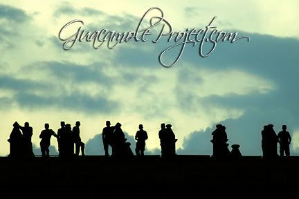 Guacamole Project :: Comunicación Visual [con sazón]