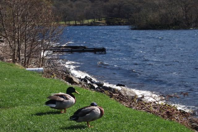 lochlomond002.jpg
