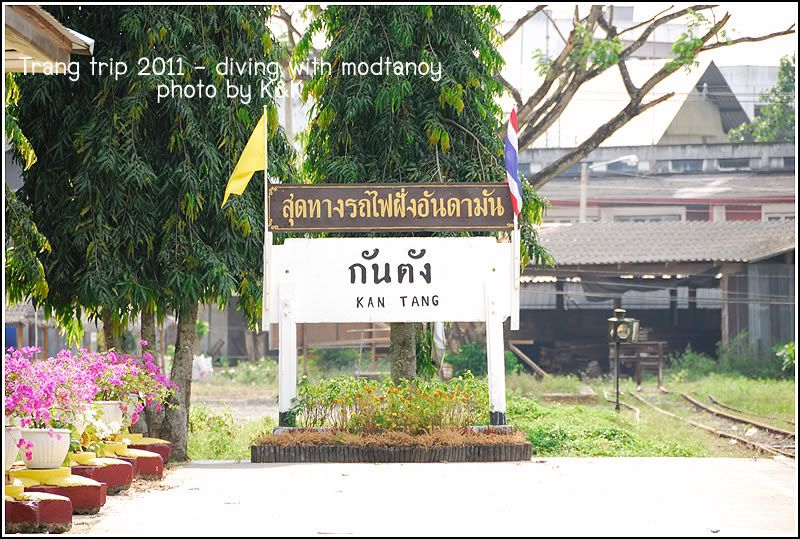 4 วัน 3 คืน ลอยคอทะเลตรัง กับ มดตะนอยรีสอร์ท ตอนที่ 1