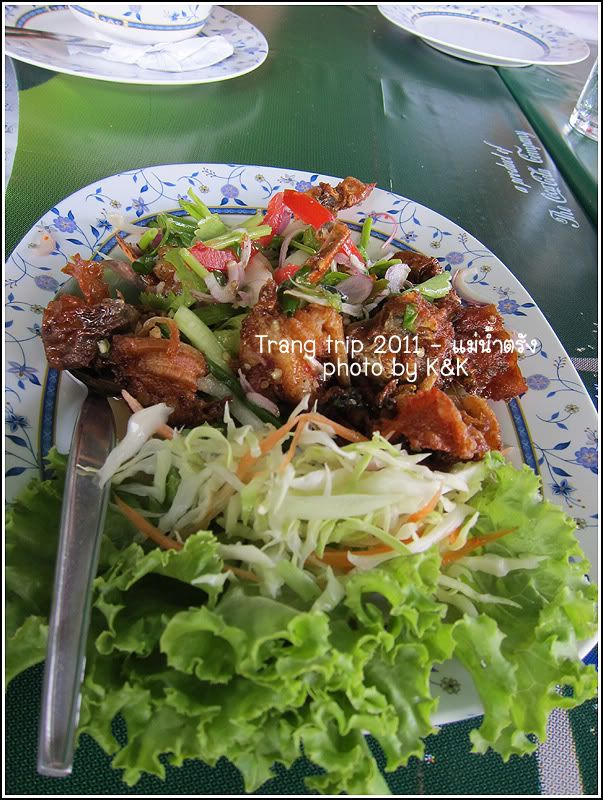4 วัน 3 คืน ลอยคอทะเลตรัง กับ มดตะนอยรีสอร์ท ตอนที่ 1