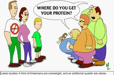 proteinfatties.jpg