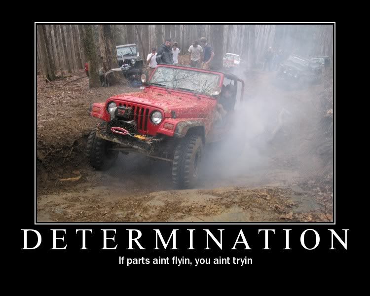 determination.jpg