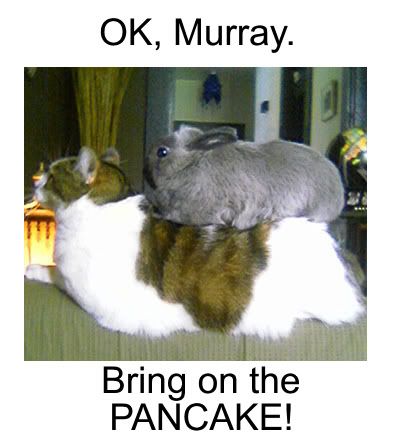 Murray.jpg