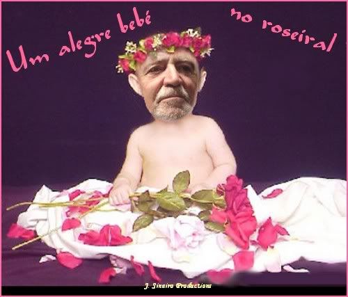 Alegre Bebé no roseiral