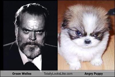 orson-welles-totally-looks-like-angry-puppy.jpg