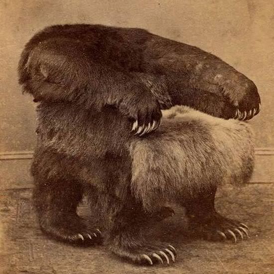 the-grizzle-bear-chair.jpg