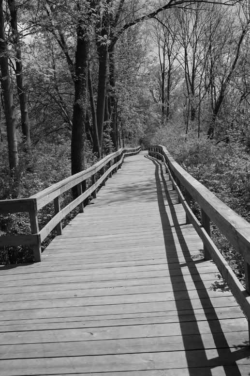 IMAGE: http://i59.photobucket.com/albums/g292/atad6/nature5.jpg