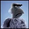 muppet_sam.jpg