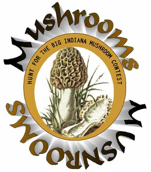 Indiana Mushroom Hunting Contest photo mushroom-rain-live-wallpape.jpg