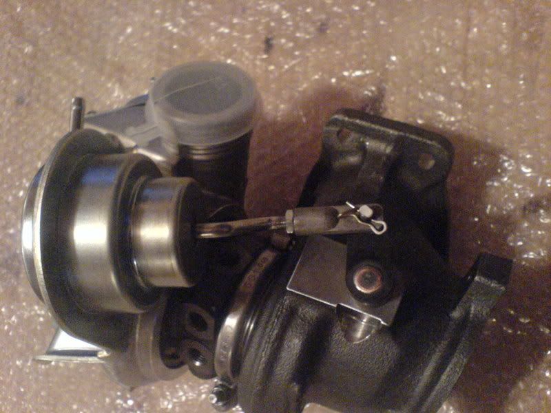 DSC00380.jpg?t=1164641395