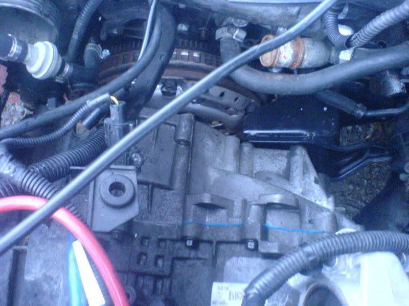 DSC00387.jpg?t=1165148947