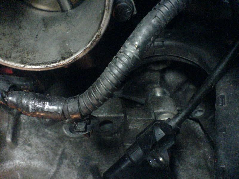 DSC00396.jpg?t=1166038046