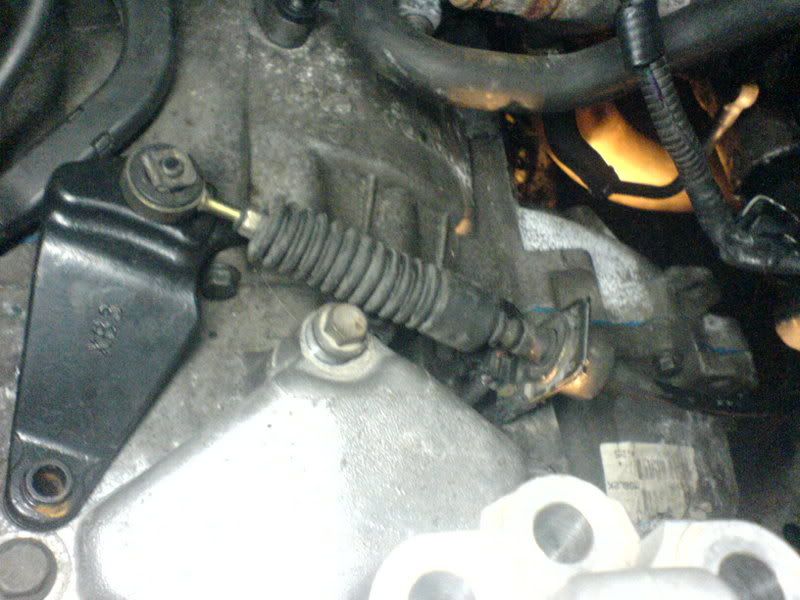 DSC00397.jpg?t=1166038140