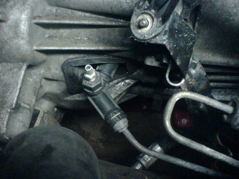 DSC00399.jpg?t=1166038279