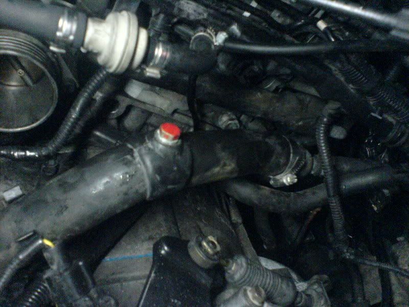 DSC00400.jpg?t=1166038345