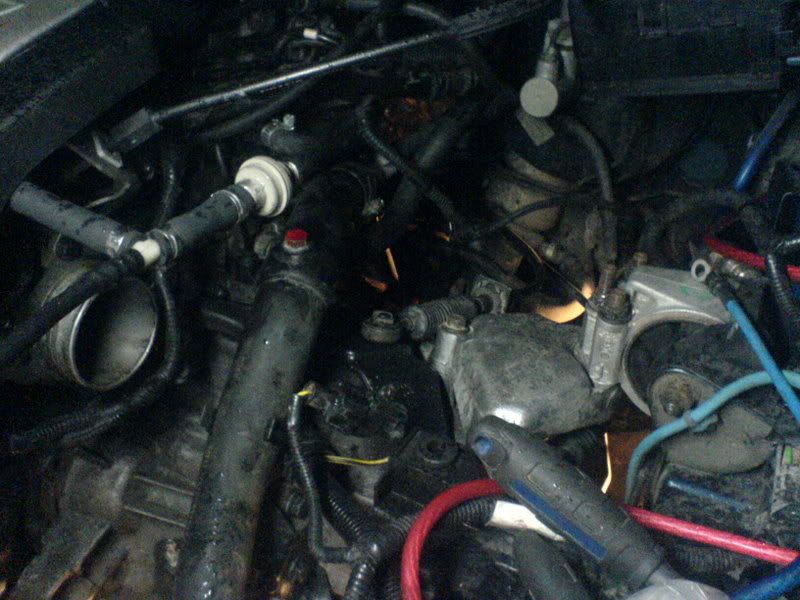 DSC00402.jpg?t=1166038511