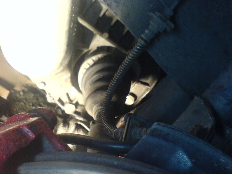 DSC00408.jpg?t=1166395470