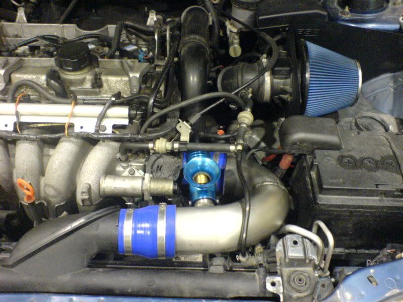 DSC00515.jpg?t=1173039995