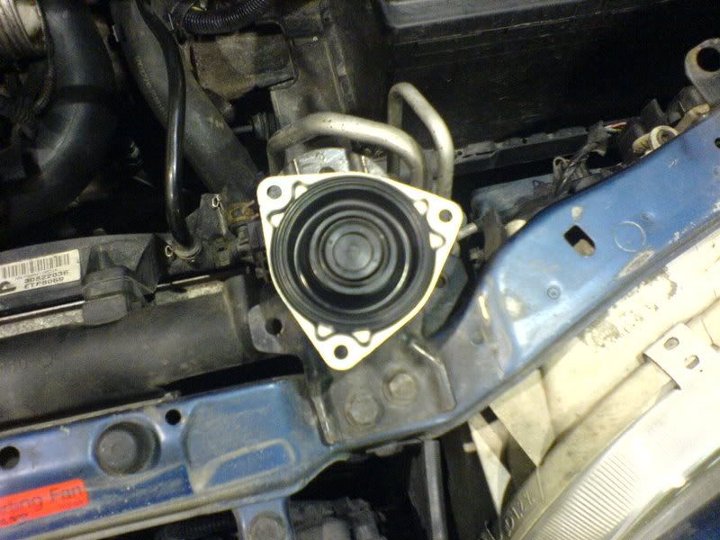 DSC00517.jpg?t=1173039955