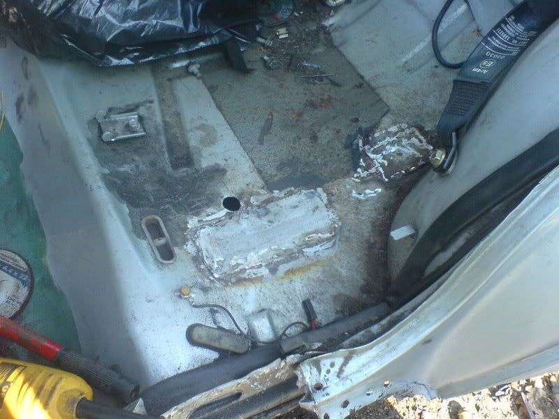 DSC00539.jpg?t=1175449204