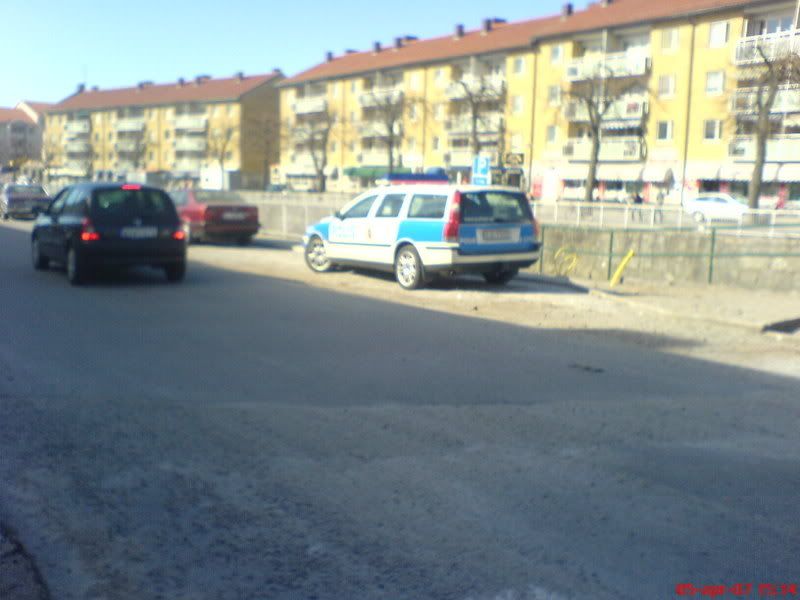 DSC00555.jpg?t=1175957536