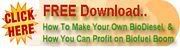 FREE REPORT DOWNLOAD - Make Your Own BioDiesel & How You Can Profit On the BioFuel Boom