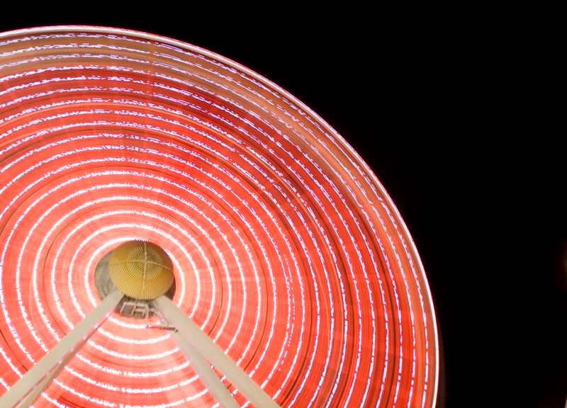 IMAGE: http://i59.photobucket.com/albums/g297/babsrulz/ferrisferris2_12.jpg