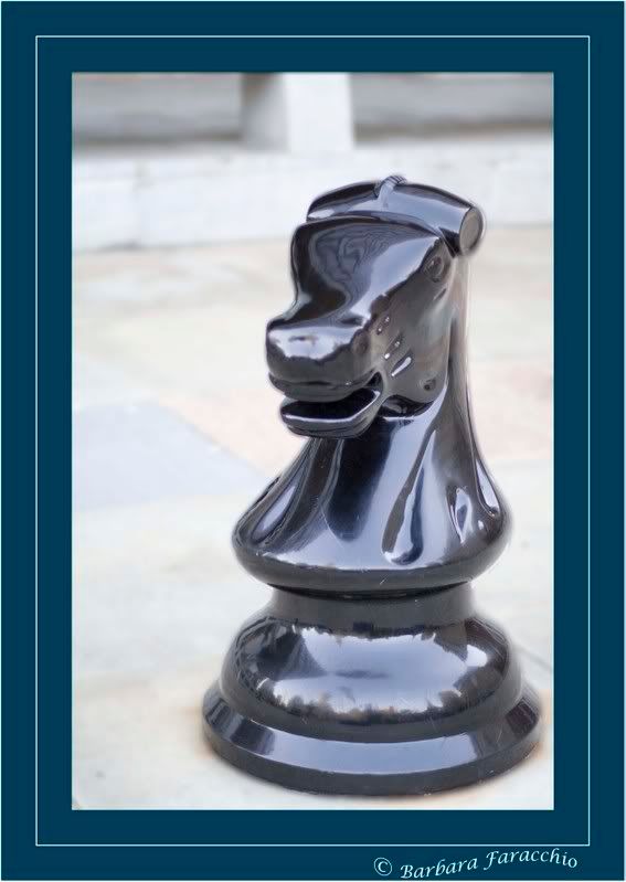 IMAGE: http://i59.photobucket.com/albums/g297/babsrulz/pawn2copy.jpg