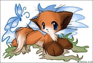 cute foxy