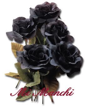 Black-Roses-clrd1.jpg