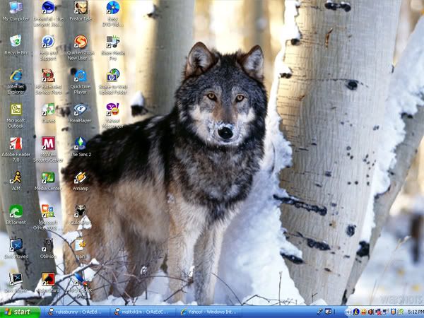 wallpaper wolf. a with a wolf Wallpaper
