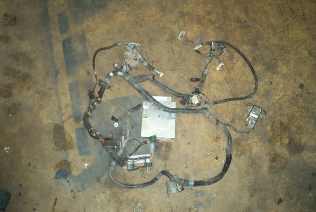 91 mustang engine wiring harrness w/A9M | Ford Mustang Forums