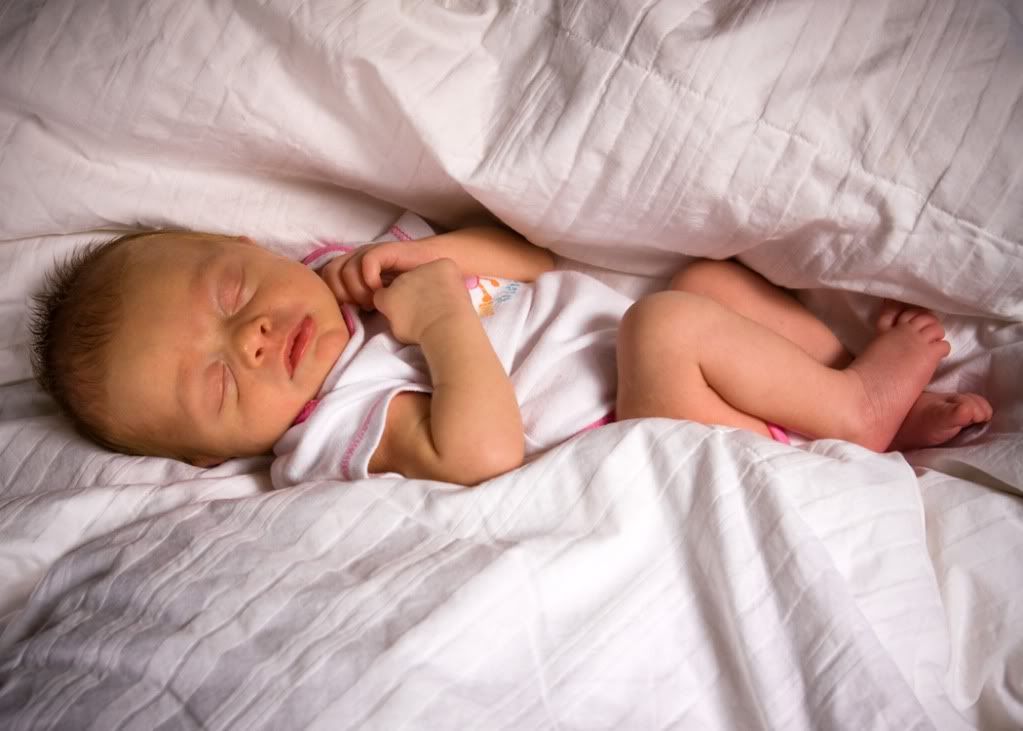 IMAGE: http://i59.photobucket.com/albums/g300/rlineberg/590849694_img_7295.jpg