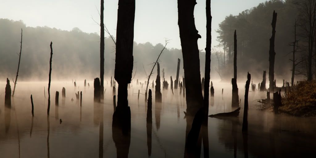 IMAGE: http://i59.photobucket.com/albums/g300/rlineberg/IMG_0222.jpg