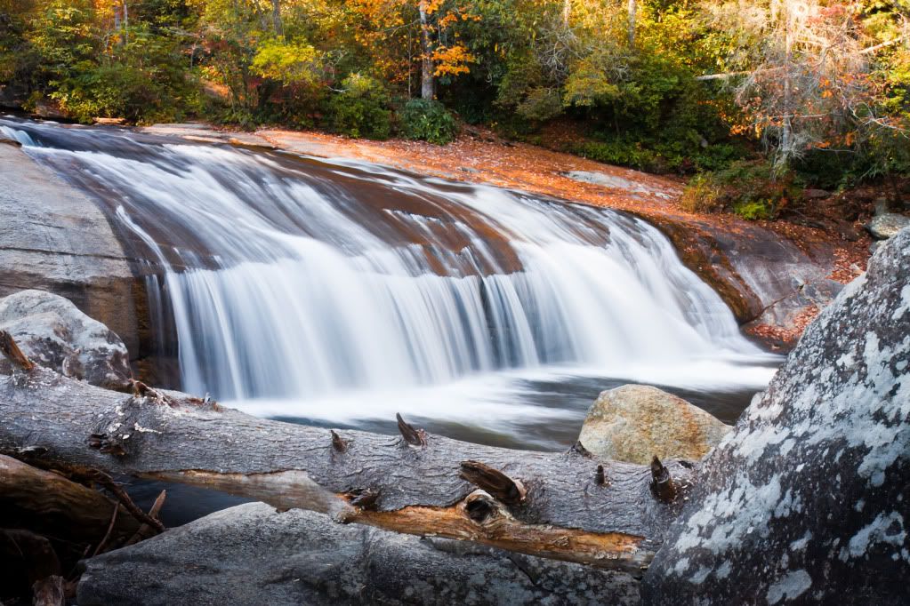 IMAGE: http://i59.photobucket.com/albums/g300/rlineberg/IMG_0845.jpg