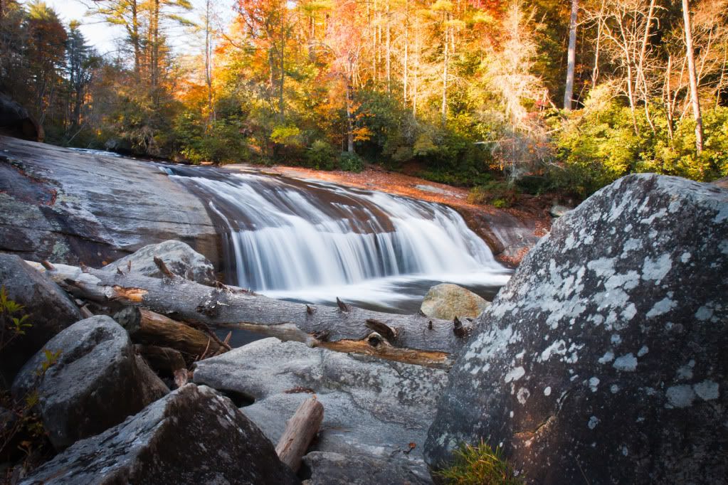 IMAGE: http://i59.photobucket.com/albums/g300/rlineberg/IMG_0847.jpg