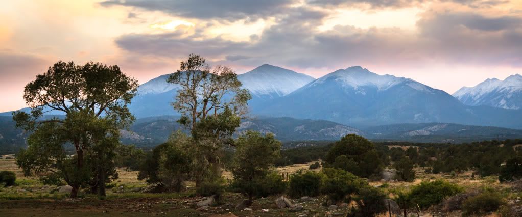 IMAGE: http://i59.photobucket.com/albums/g300/rlineberg/IMG_2267-2.jpg