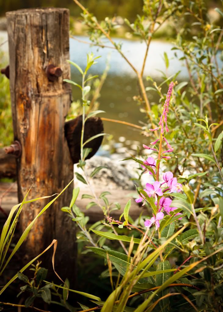 IMAGE: http://i59.photobucket.com/albums/g300/rlineberg/IMG_2304-2.jpg