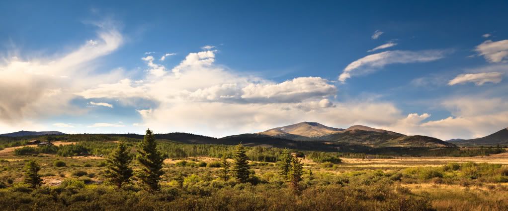 IMAGE: http://i59.photobucket.com/albums/g300/rlineberg/IMG_2362-2.jpg