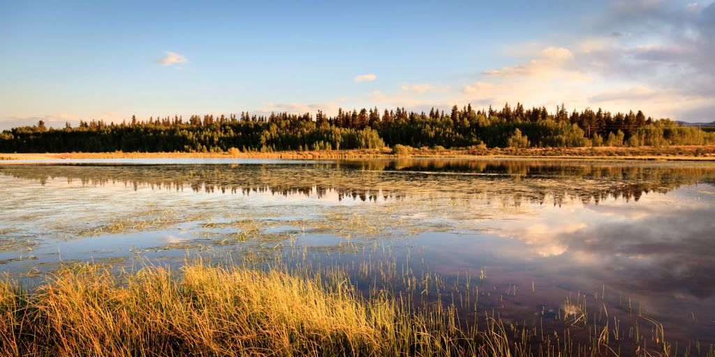 IMAGE: http://i59.photobucket.com/albums/g300/rlineberg/IMG_2463-2.jpg