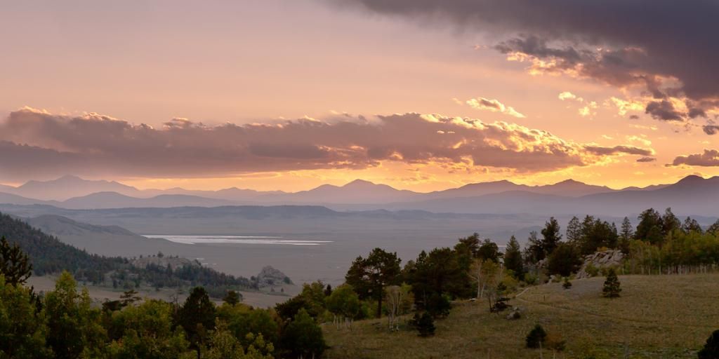 IMAGE: http://i59.photobucket.com/albums/g300/rlineberg/IMG_7394.jpg