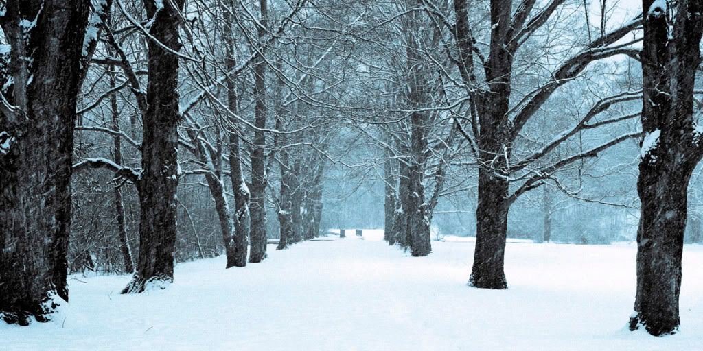 IMAGE: http://i59.photobucket.com/albums/g300/rlineberg/snowpath.jpg