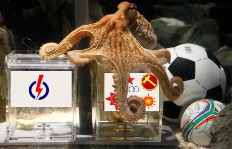 world-cup-octopus_1674246c.jpg